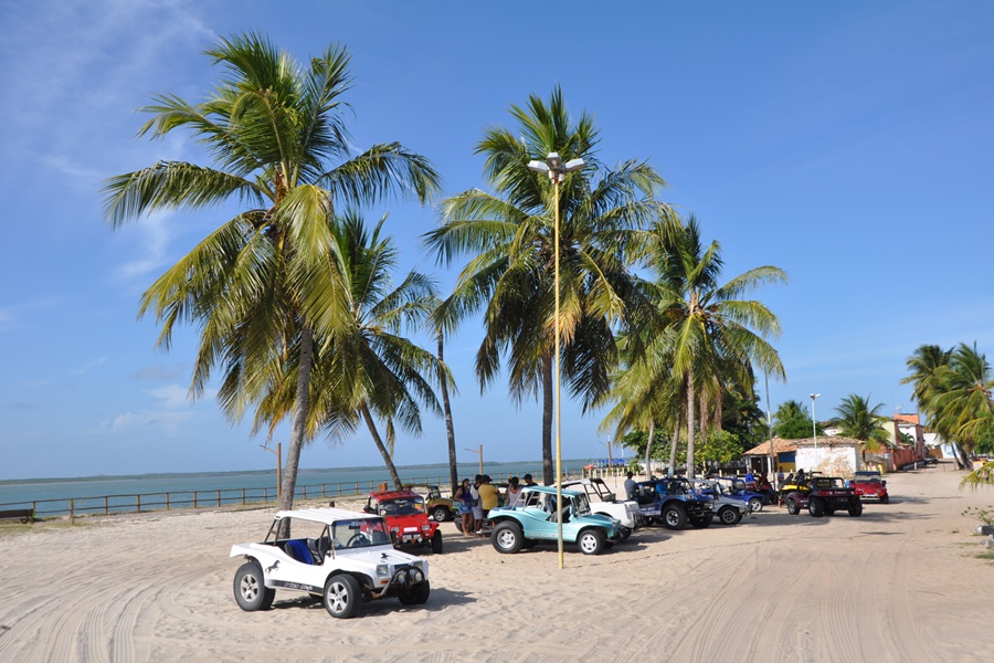 mangue-seco (1)