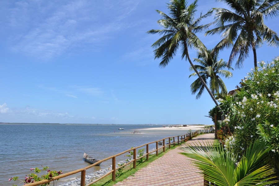 mangue-seco (3)