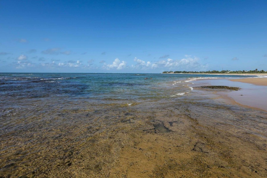 praia-de-itacimirm (1)
