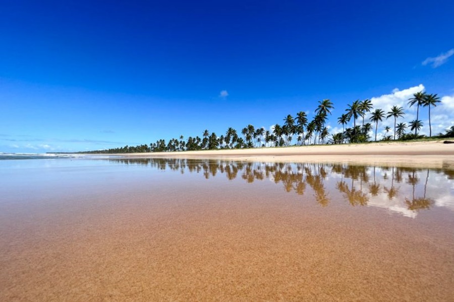praia-do-forte-bahia